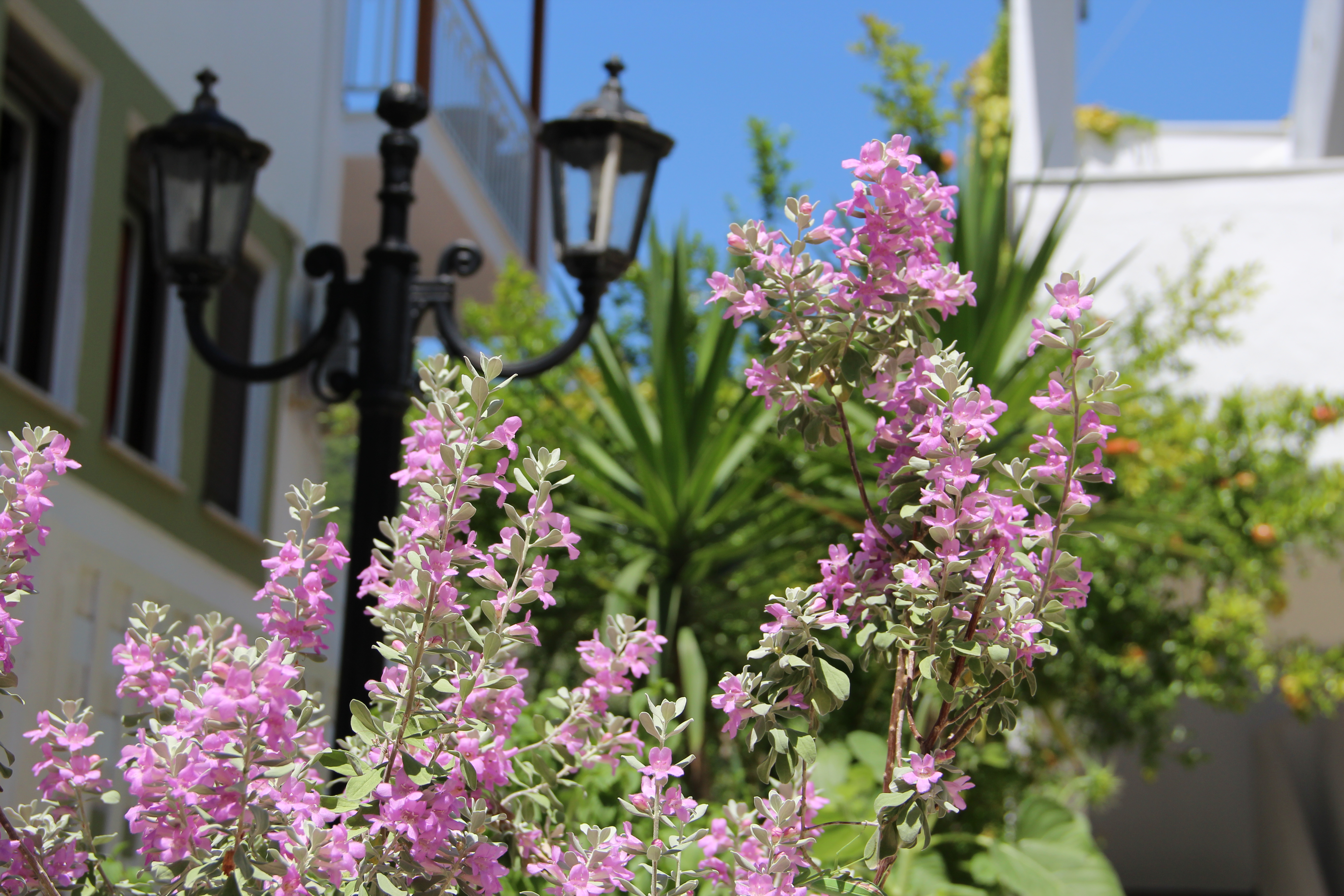 Elios Holidays Hotel