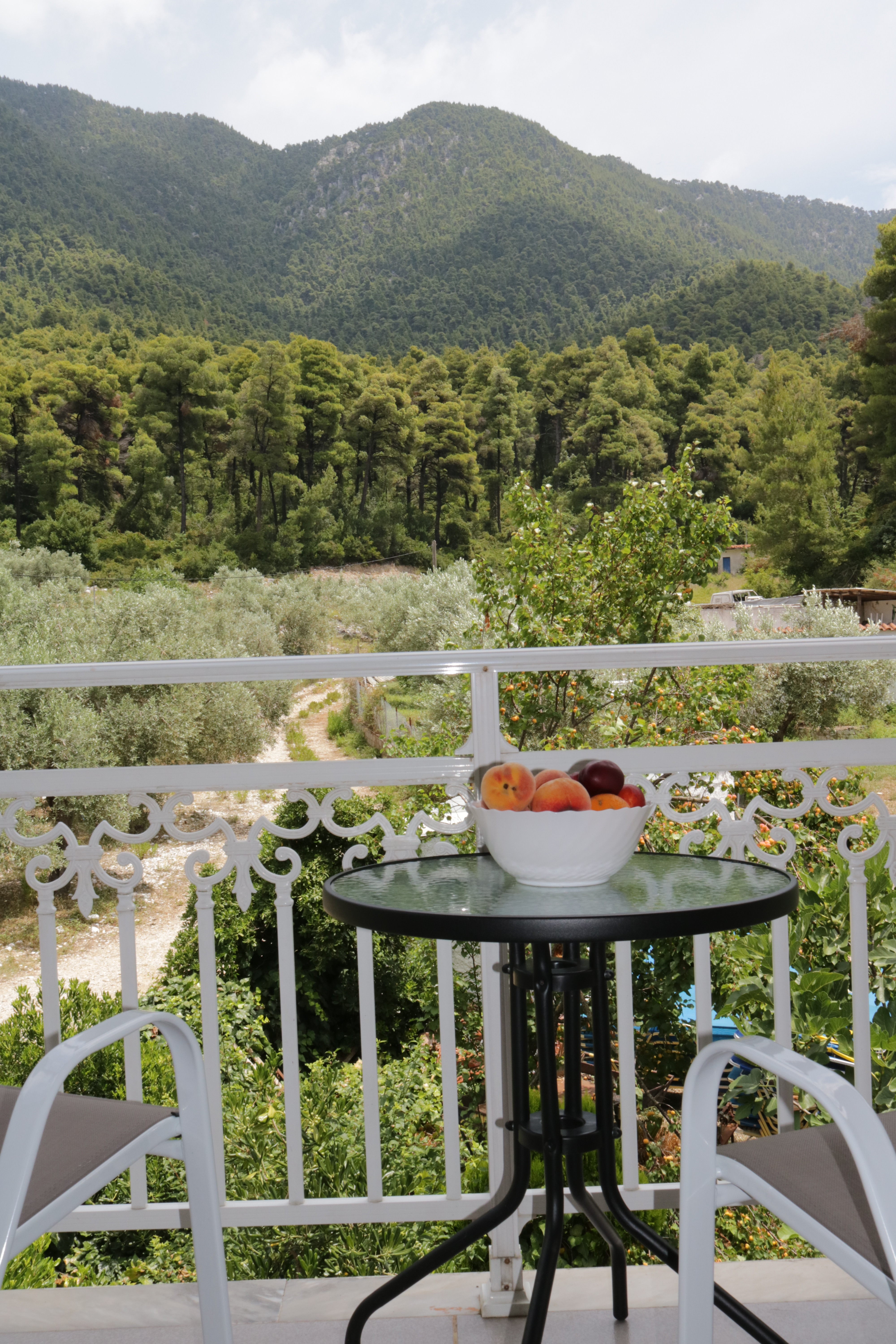 Elios Holidays Hotel