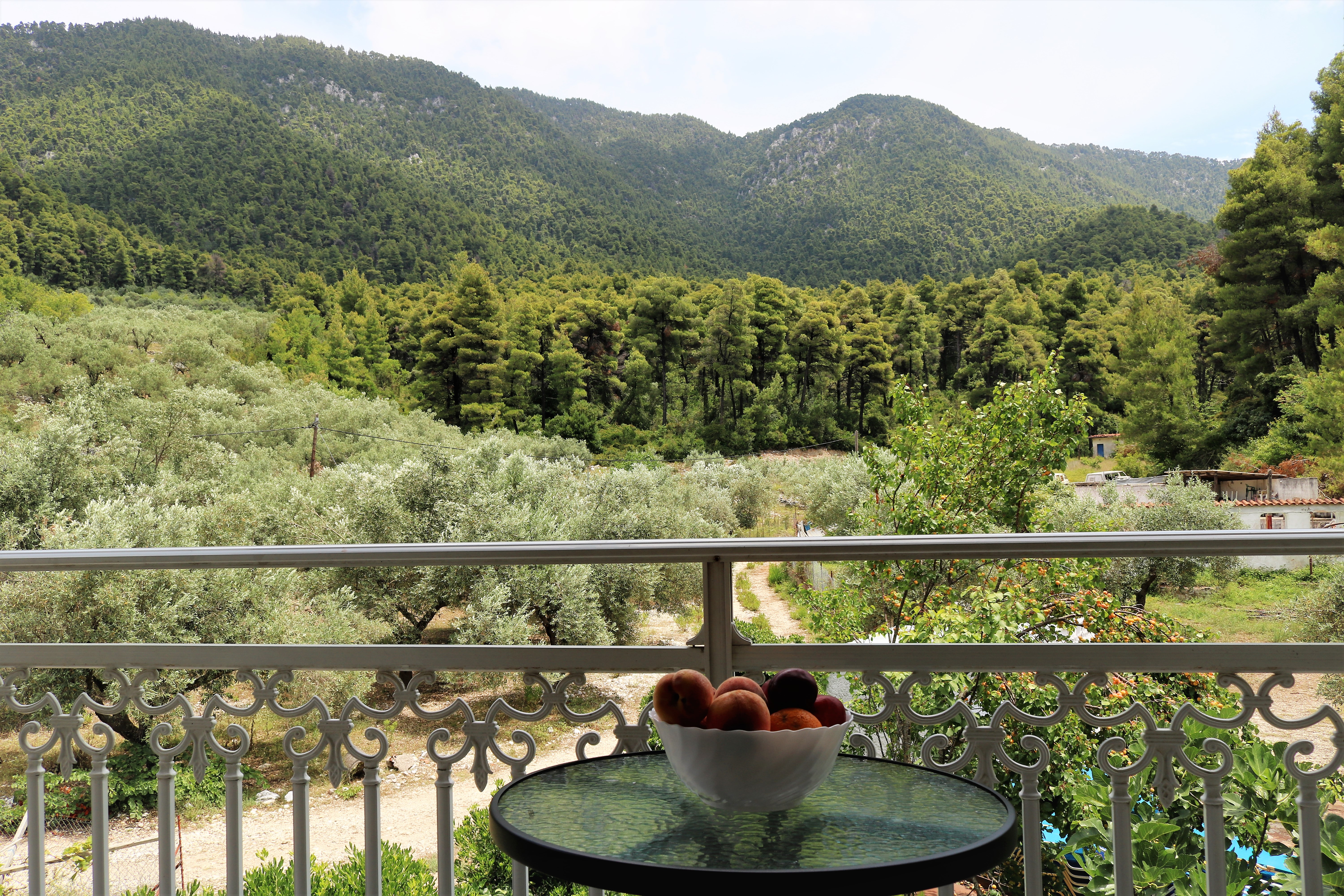Elios Holidays Hotel