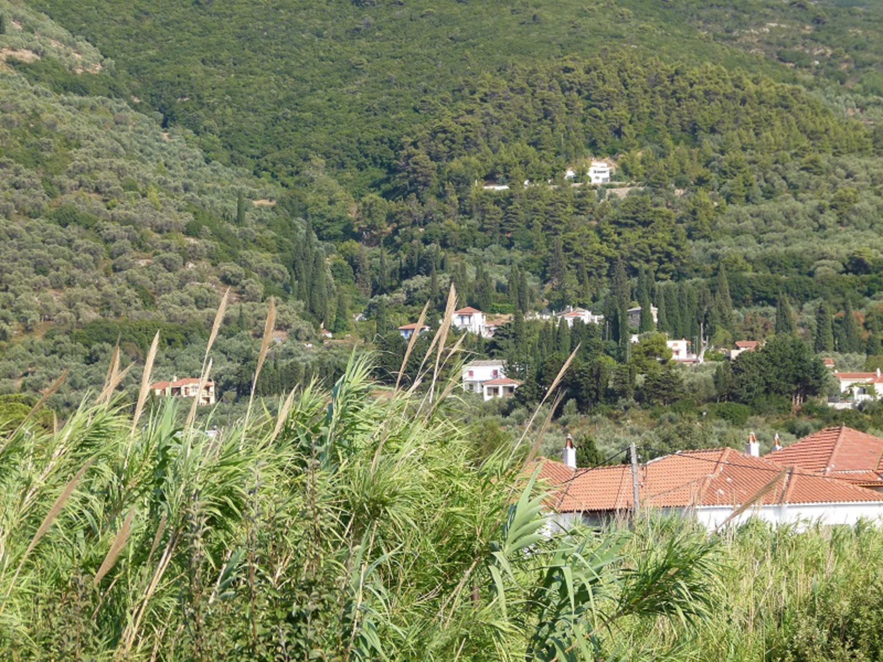 Hotel Amalia 2