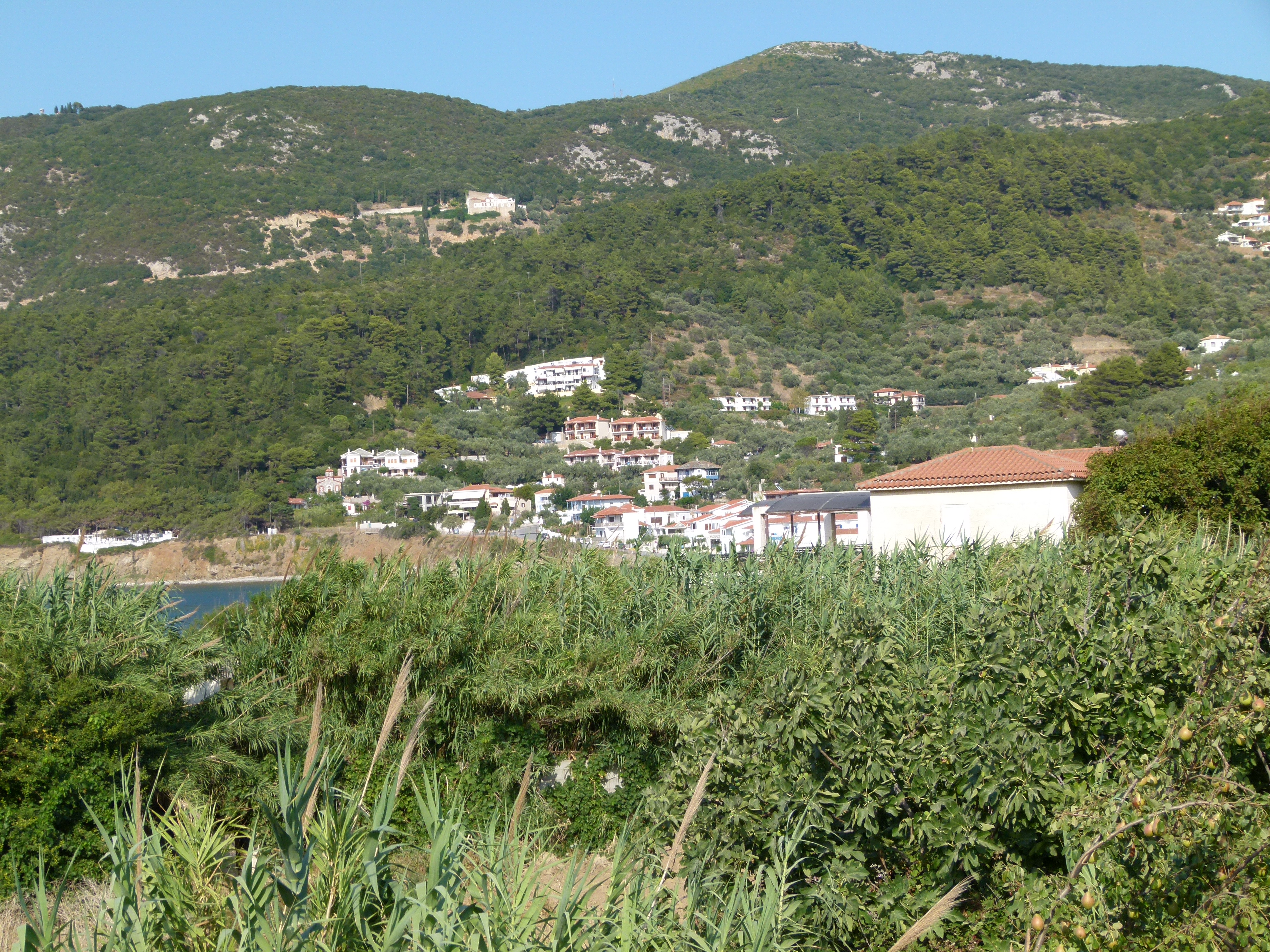 Hotel Amalia 2