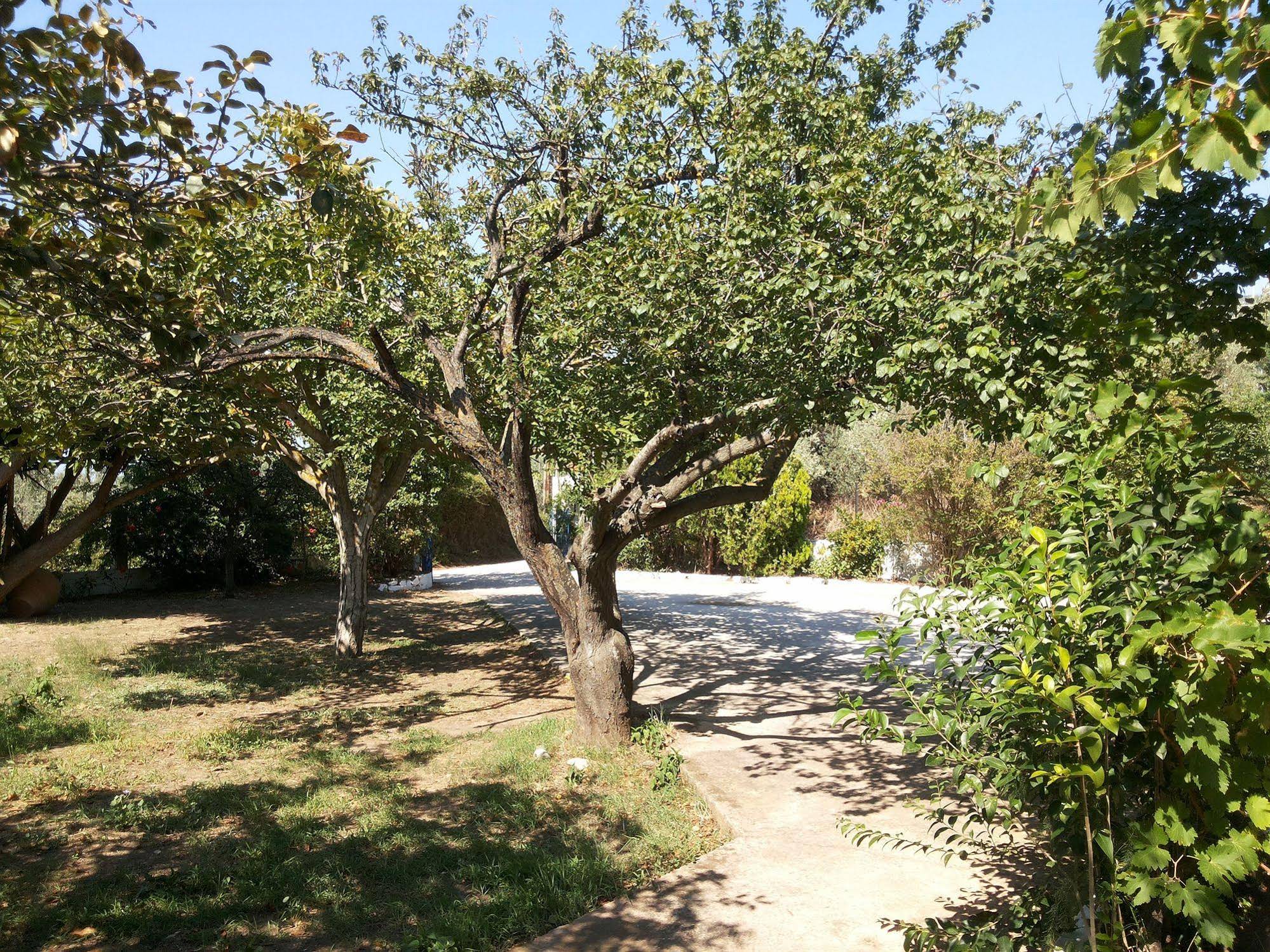 Rastoni Guest House Skopelos