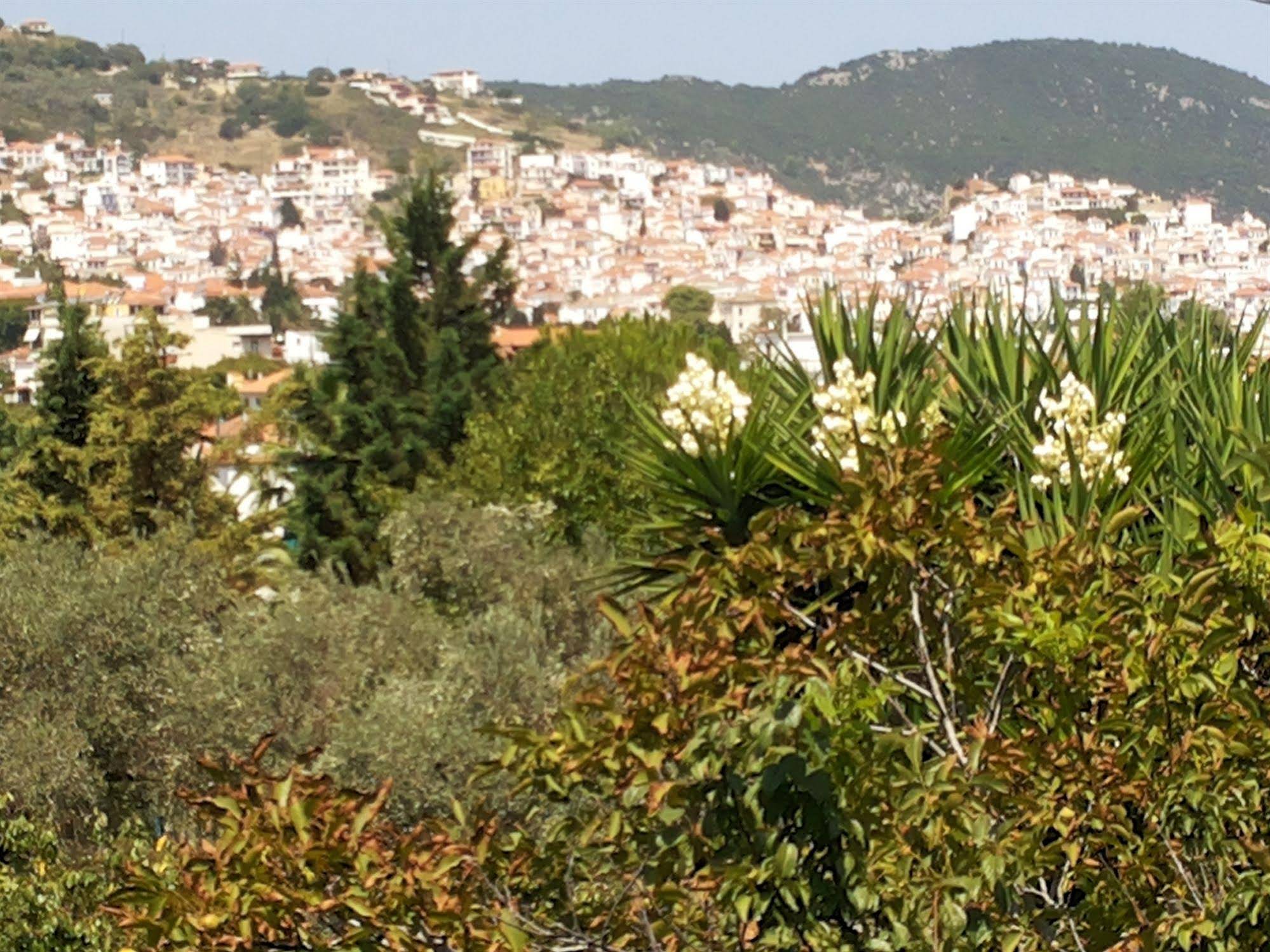 Rastoni Guest House Skopelos