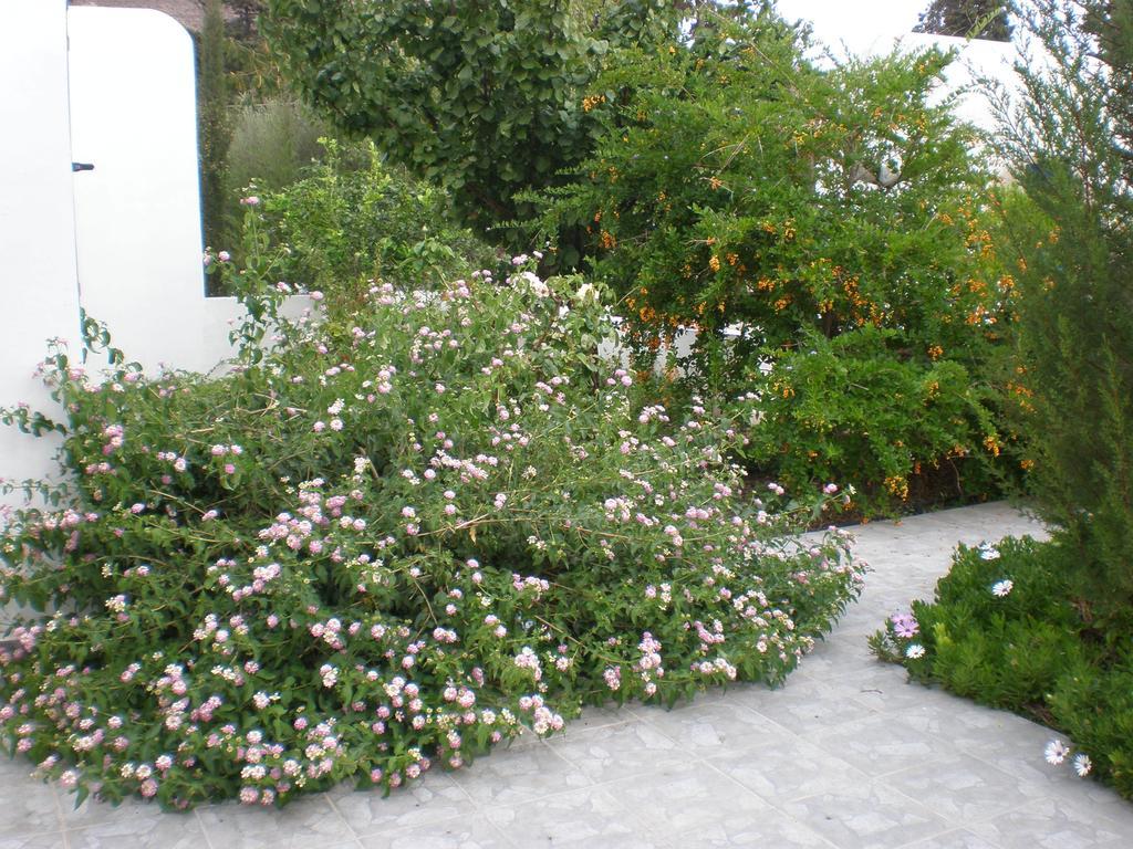 Astypalea Villas