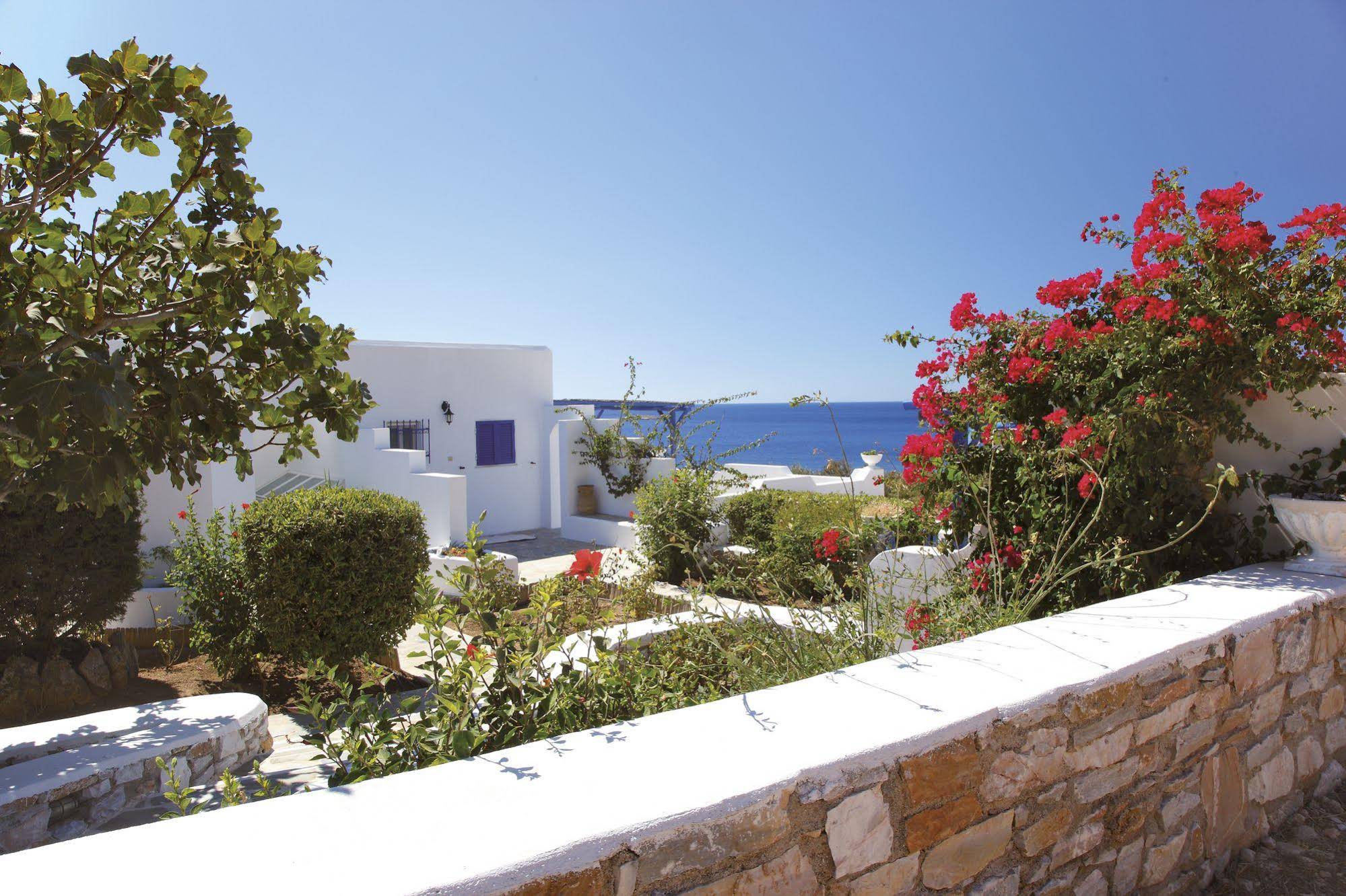 Sea View Studios