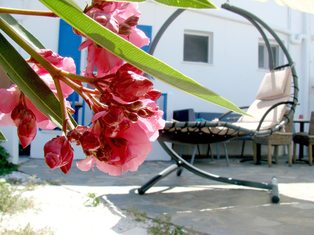 Evi Evan Hotel