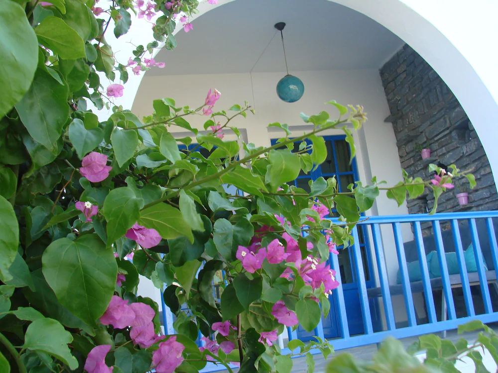 Evi Evan Hotel