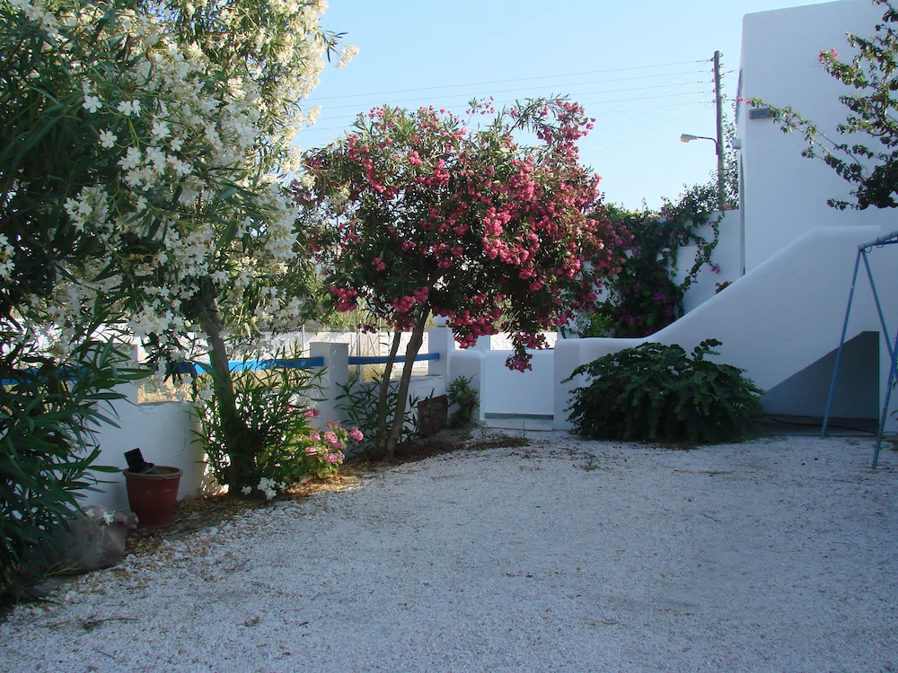 Evi Evan Hotel