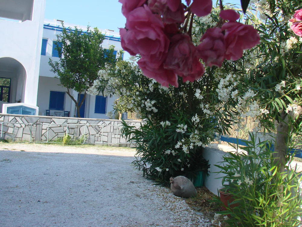 Evi Evan Hotel
