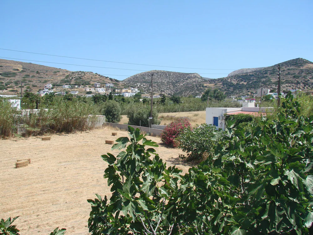 Evi Evan Hotel
