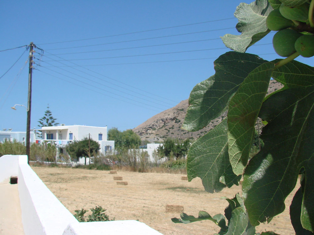 Evi Evan Hotel