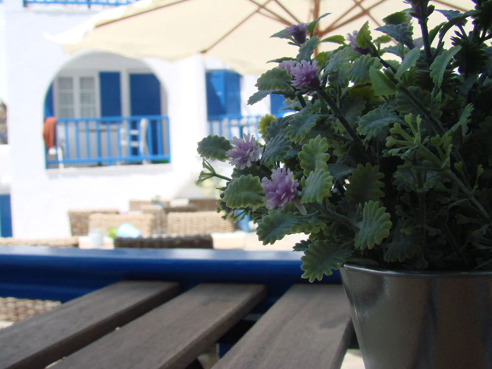 Evi Evan Hotel