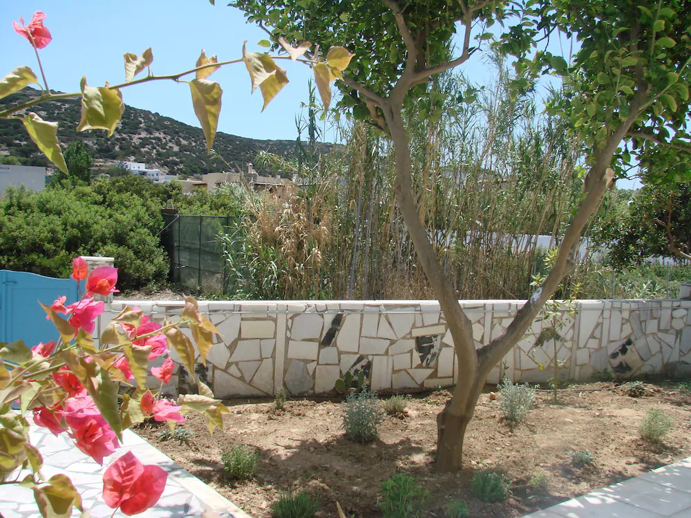 Evi Evan Hotel