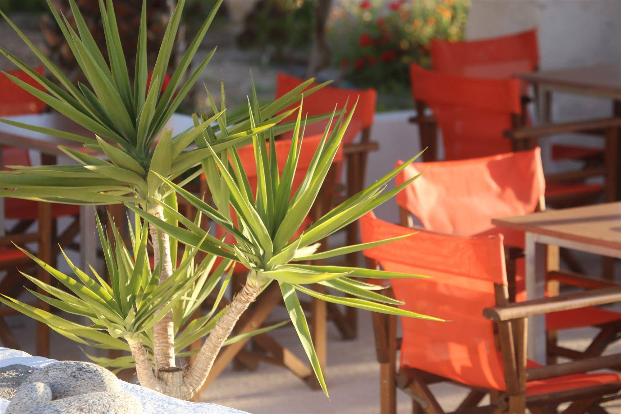Oasis Rooms and Studios