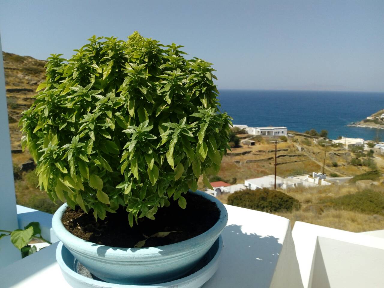 Horizon Blue