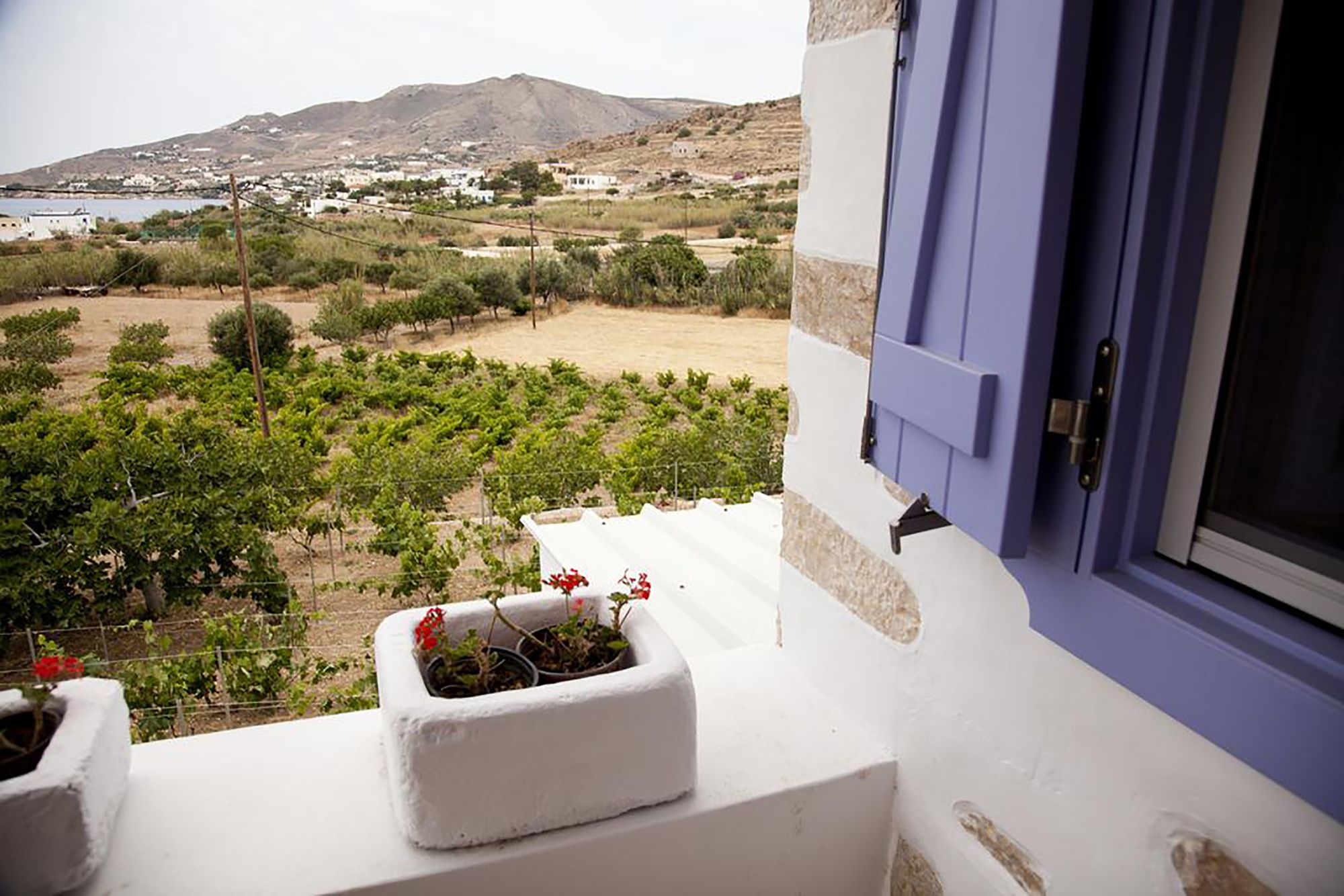 The Good Life Greece