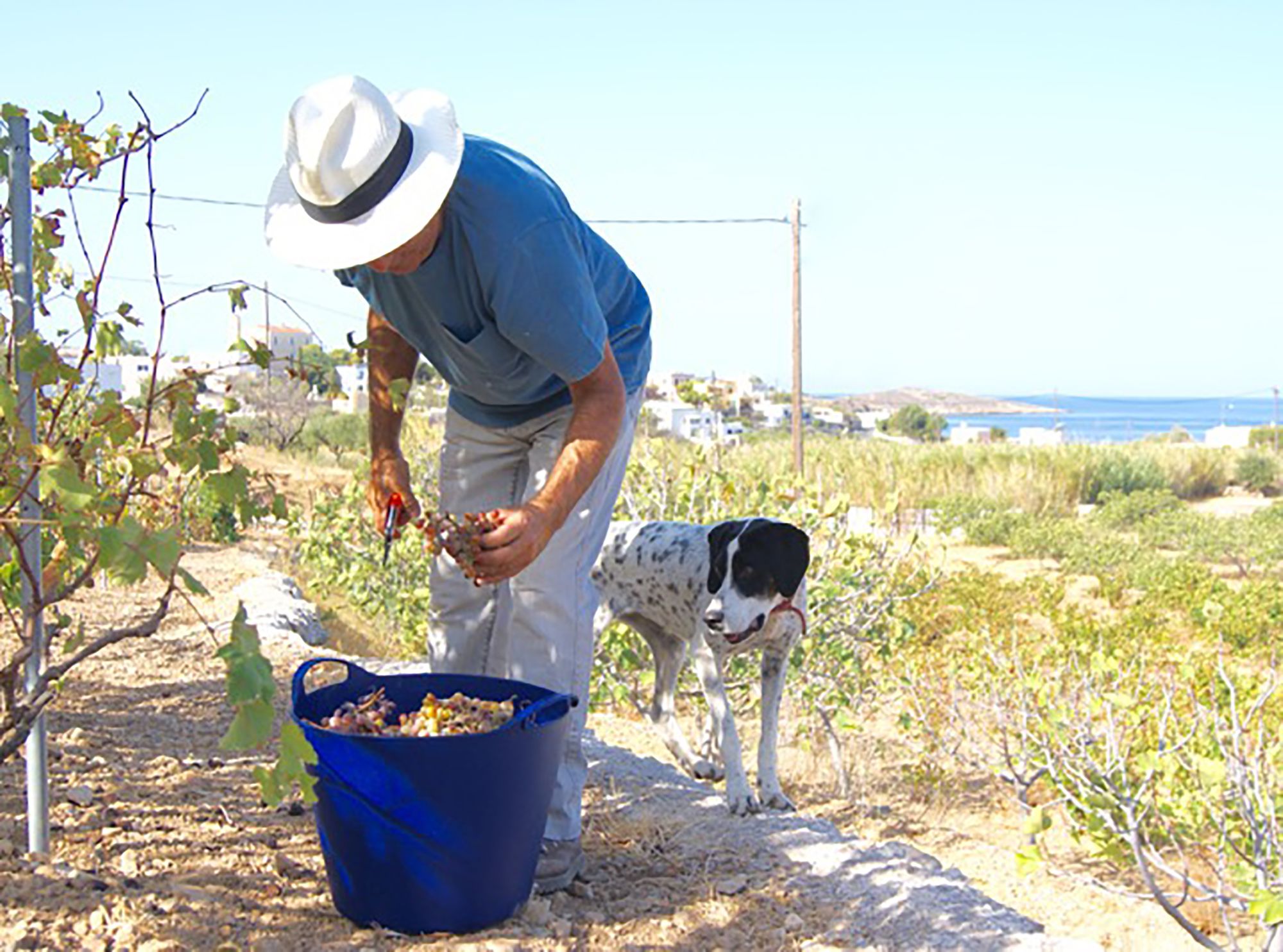 The Good Life Greece
