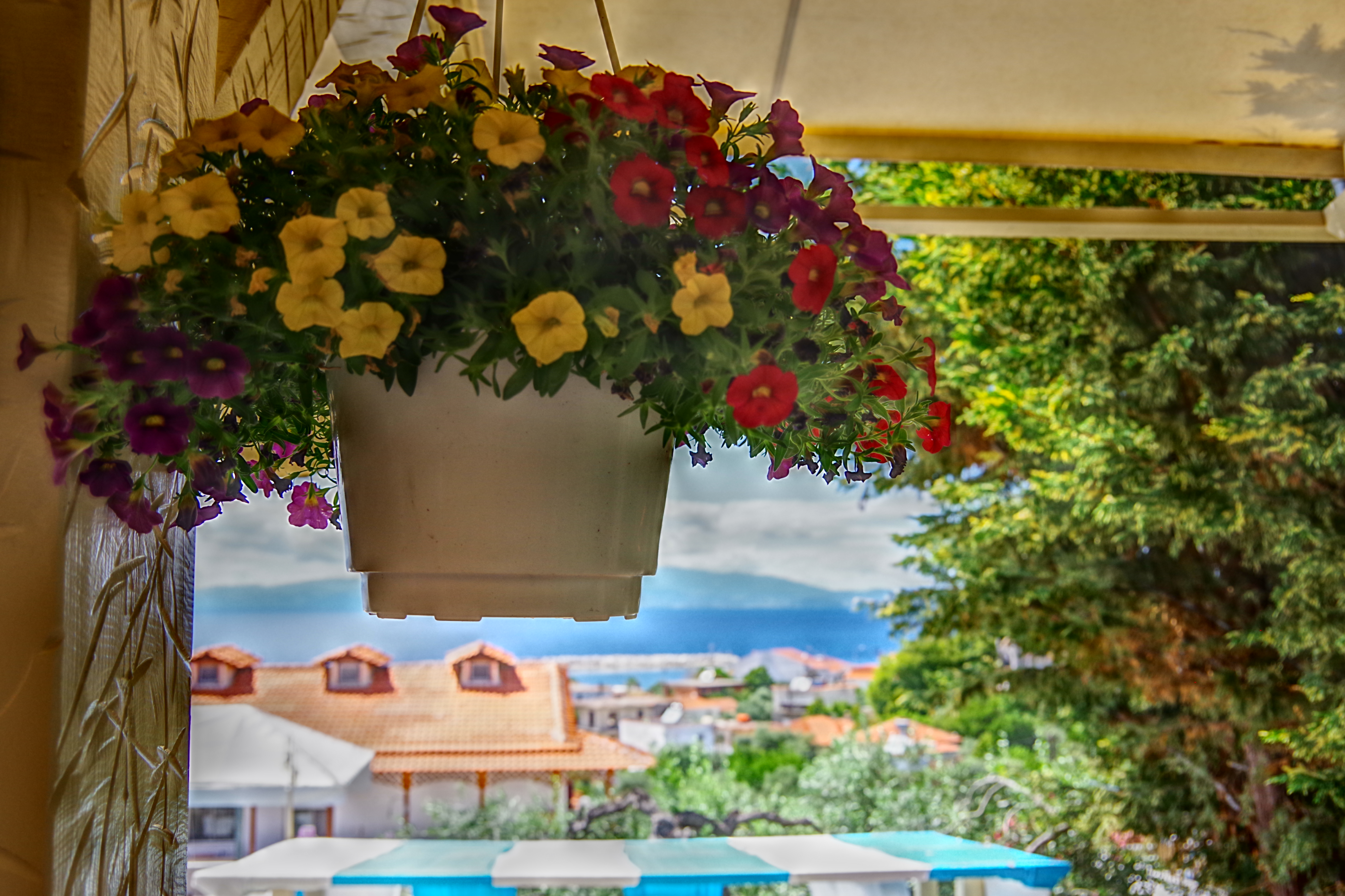 Anny Residences & Suites