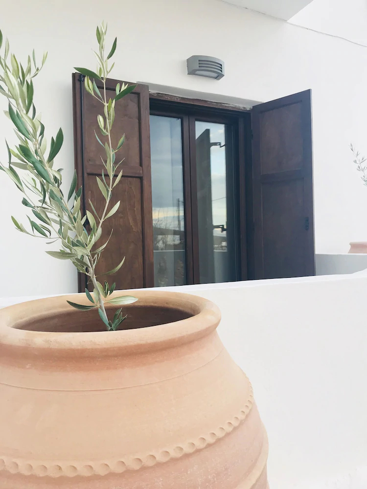 Theoxenia Suites