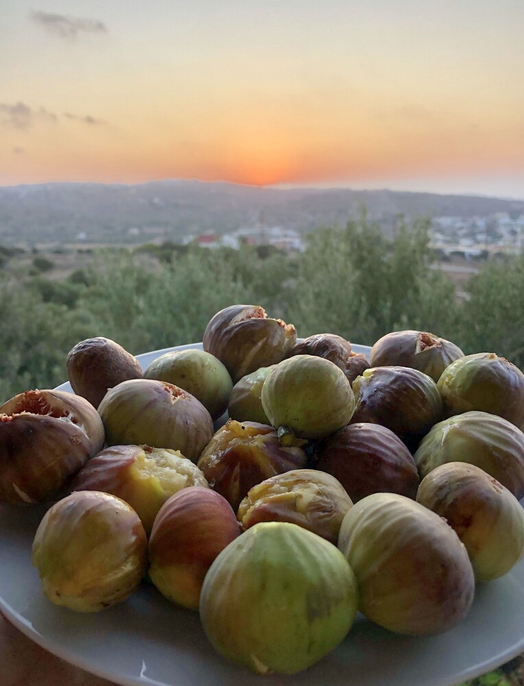 Theoxenia Suites