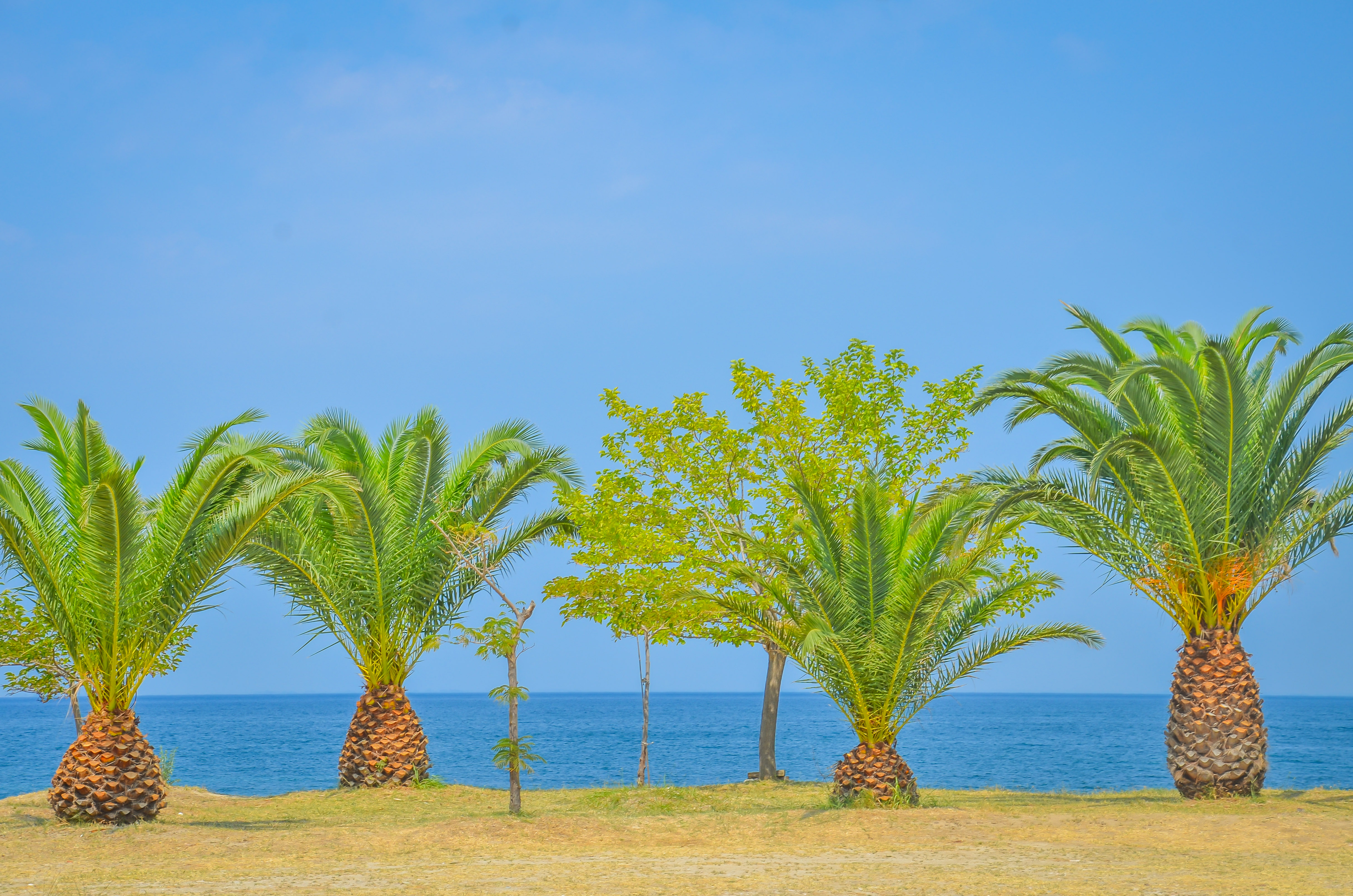 Inspira Boutique Hotel