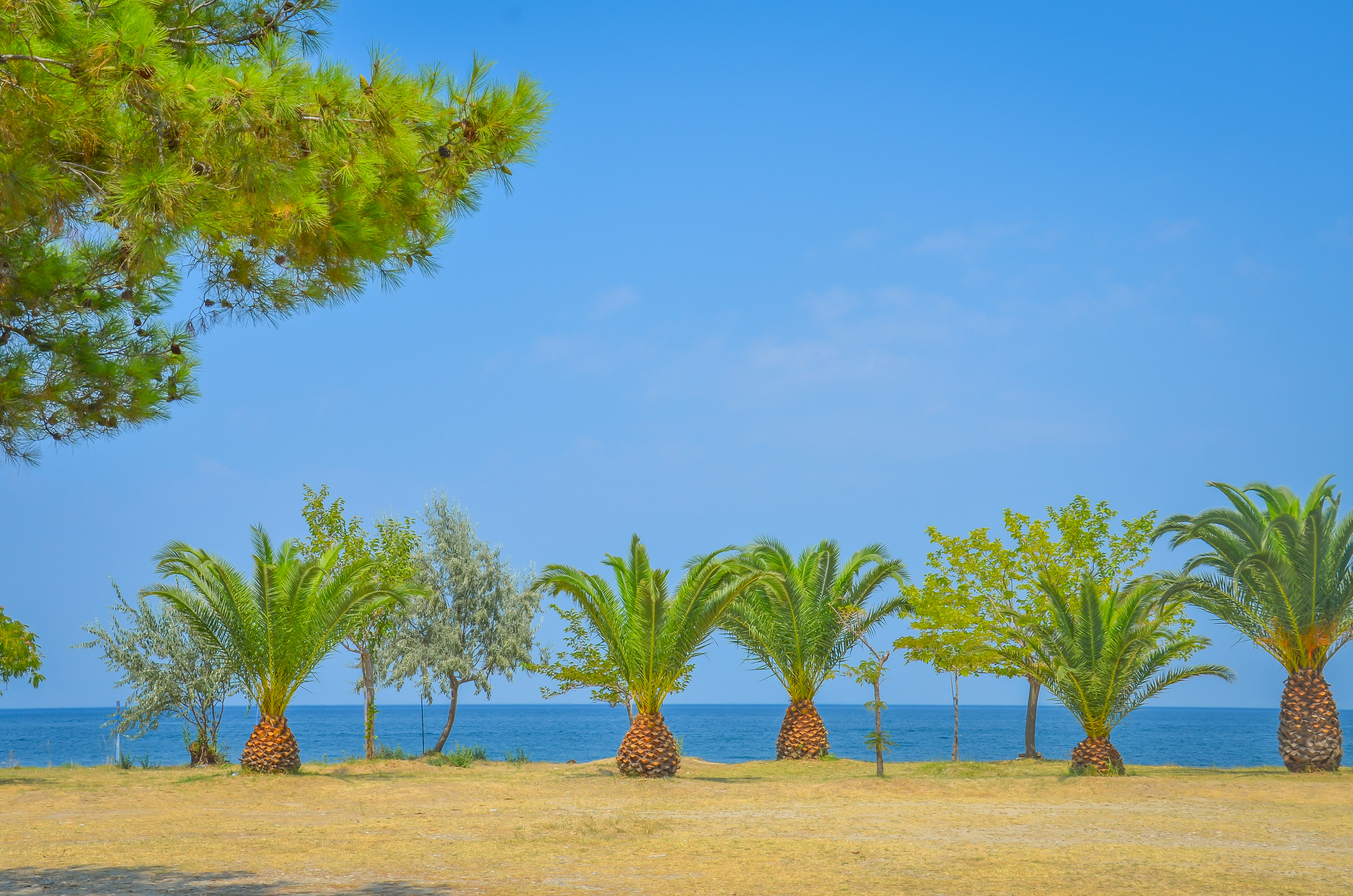 Inspira Boutique Hotel