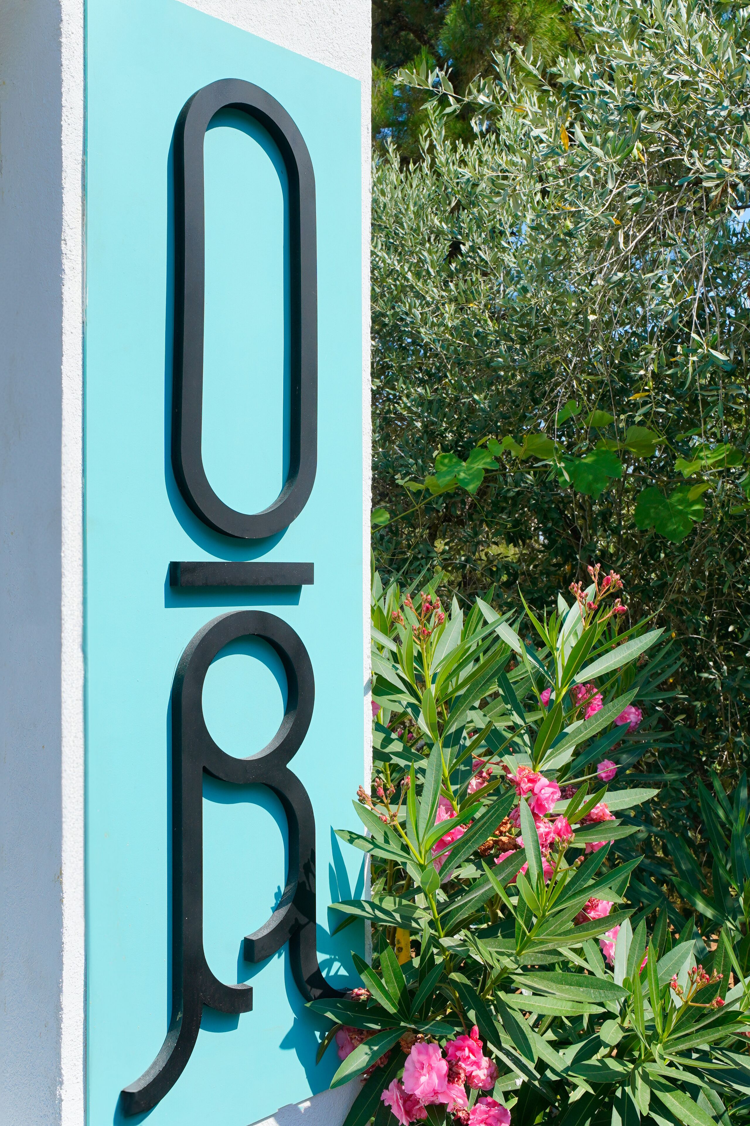 Olive Roots Luxury Suites
