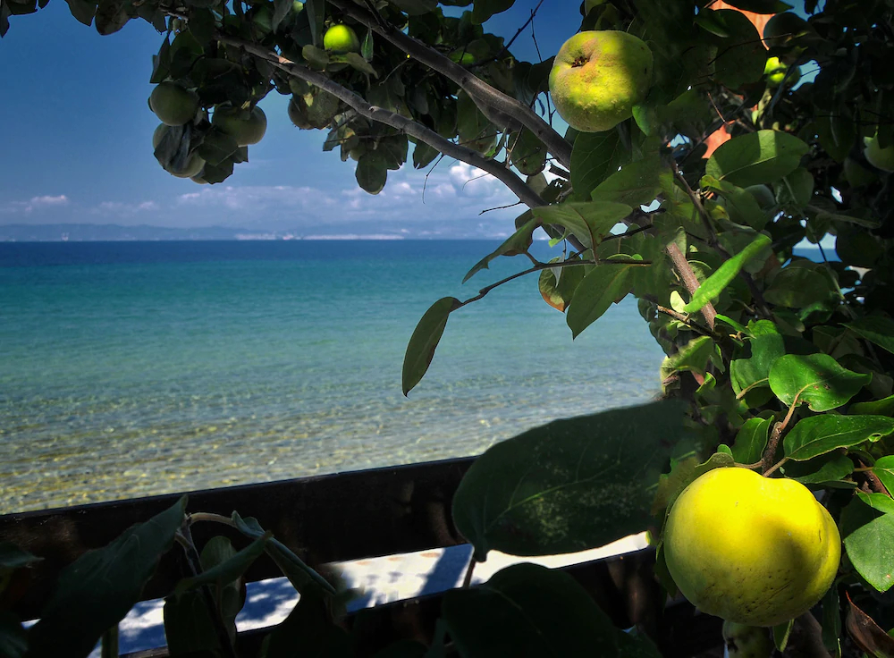 Balconies On Sea