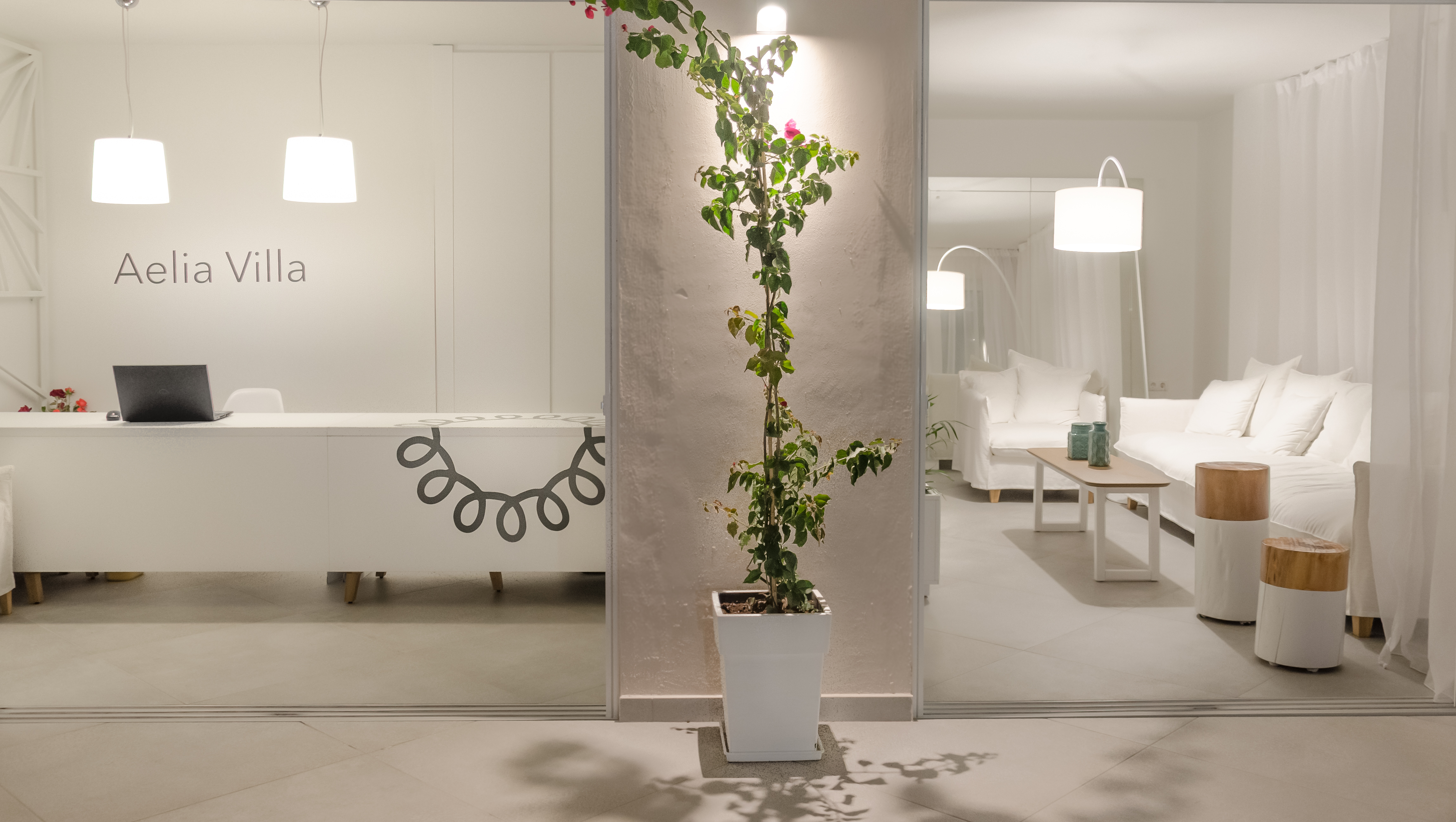 Aelia Villa Thassos