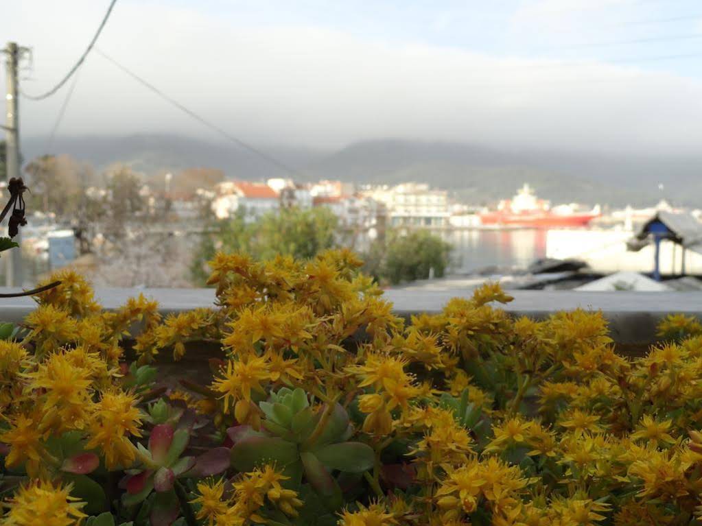 Captain's Beach Boutique Apartments