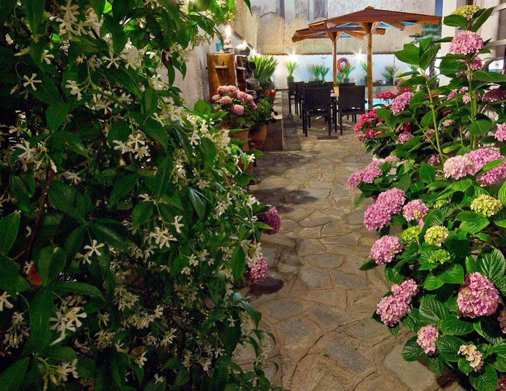 Hotel Pavlidis