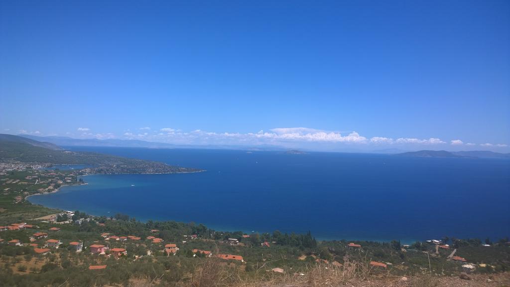 Aristotelis