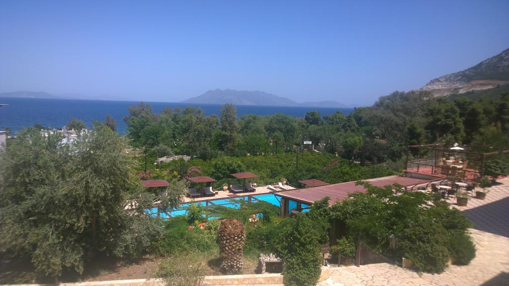 Aristotelis