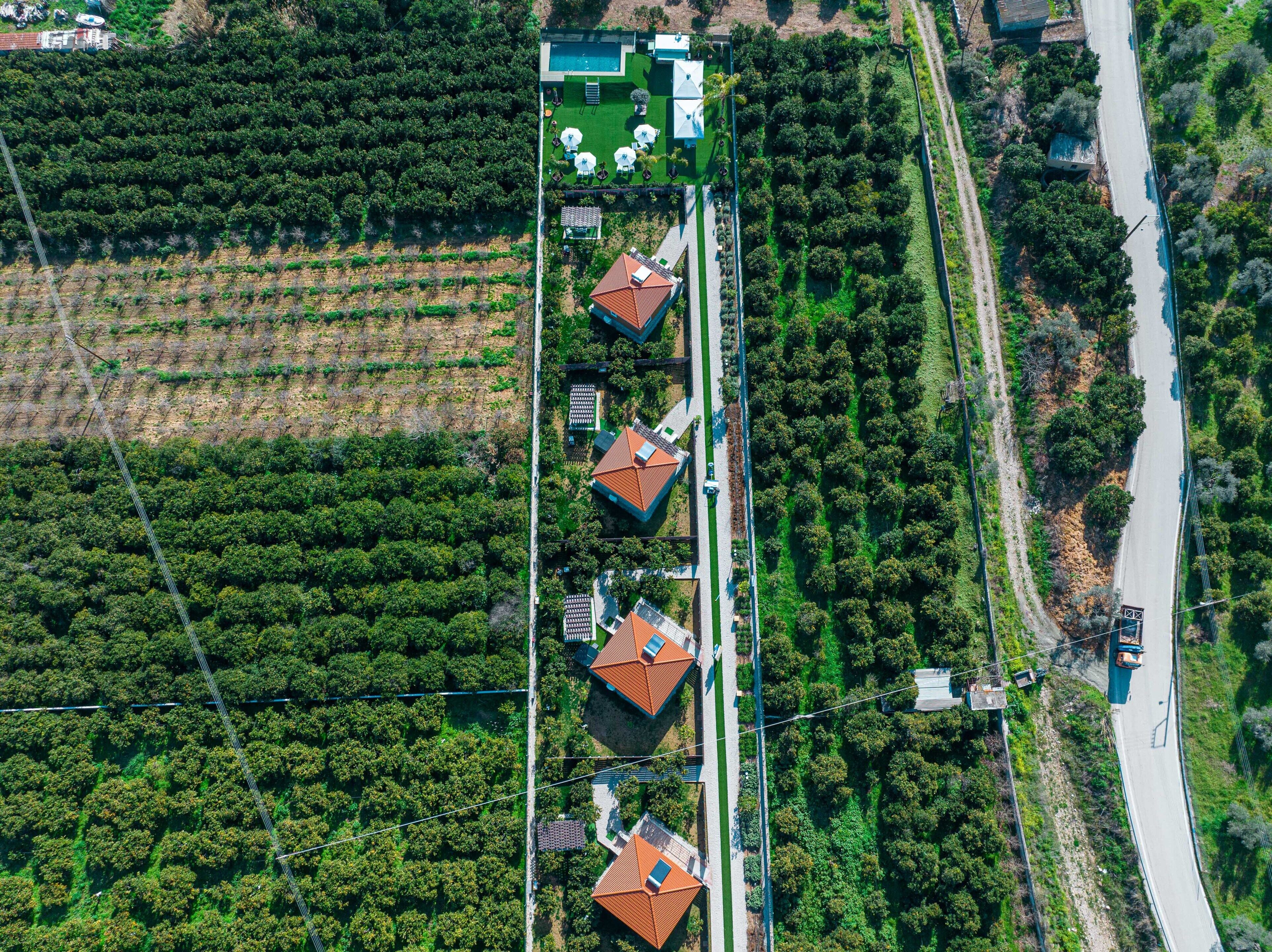 Desa Green Homes