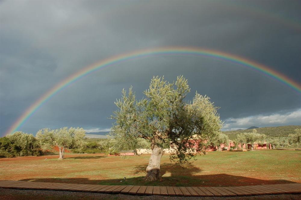 Eumelia Organic Agrotourism Farm & Guesthouse