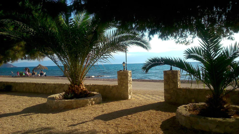 Finikas