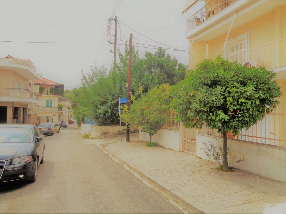 Elena's House