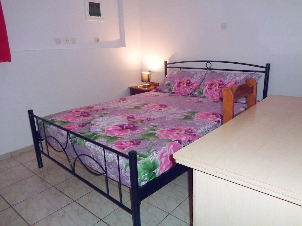 Elena's House