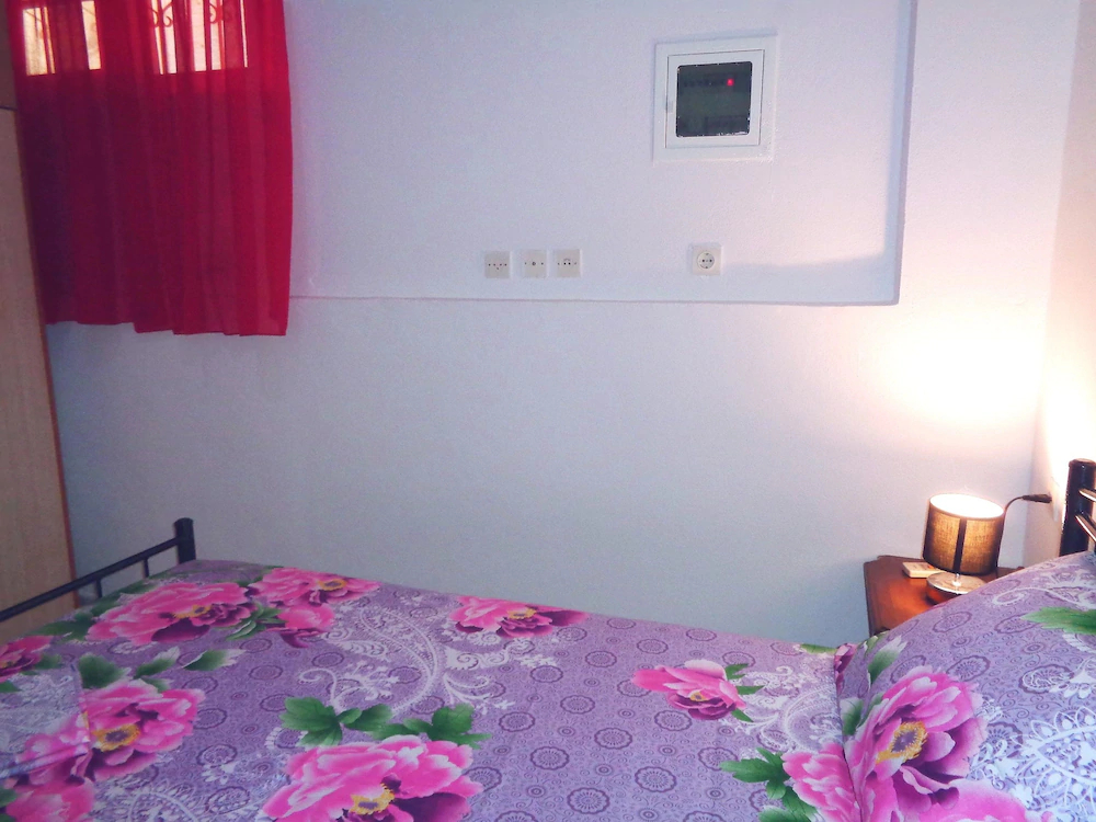 Elena's House
