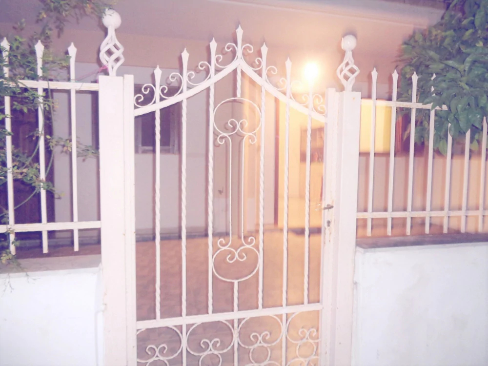 Elena's House