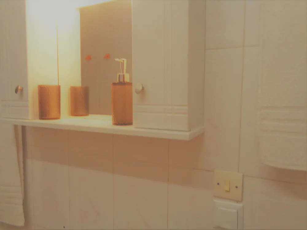 Elena's House