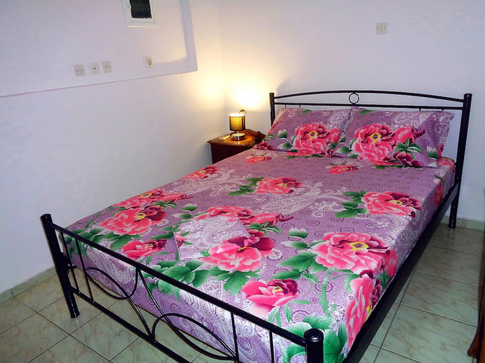 Elena's House