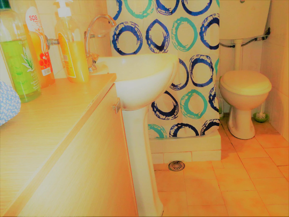 Elena's House