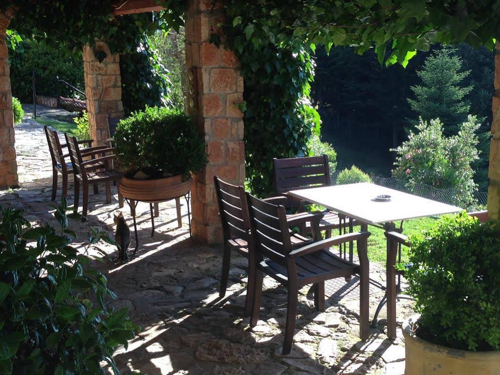 Aphrodite's Inn