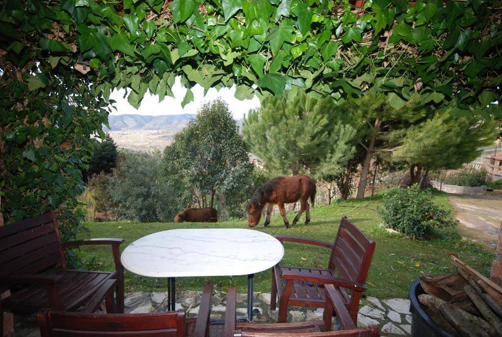 Aphrodite's Inn