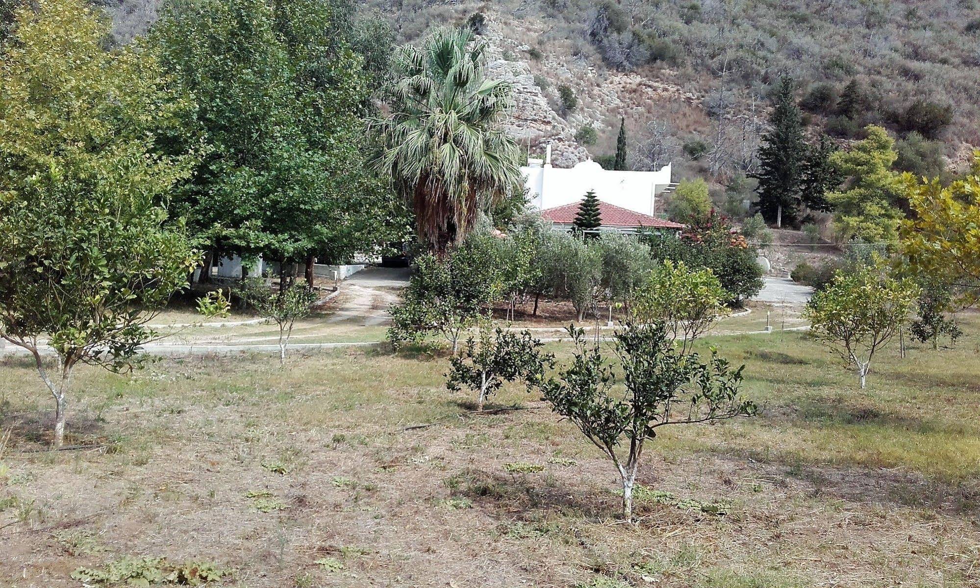 Villa Dunes