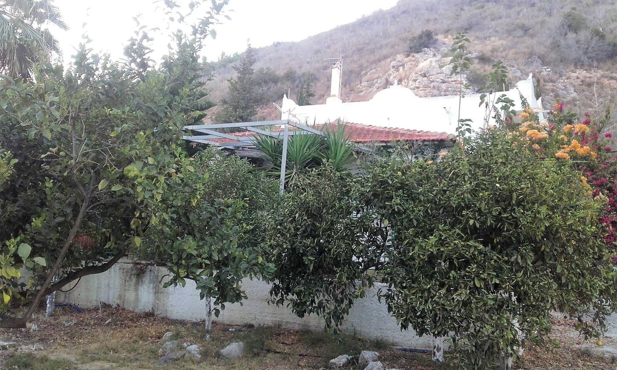 Villa Dunes