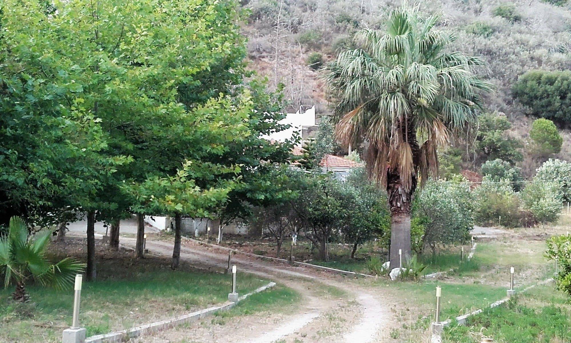 Villa Dunes