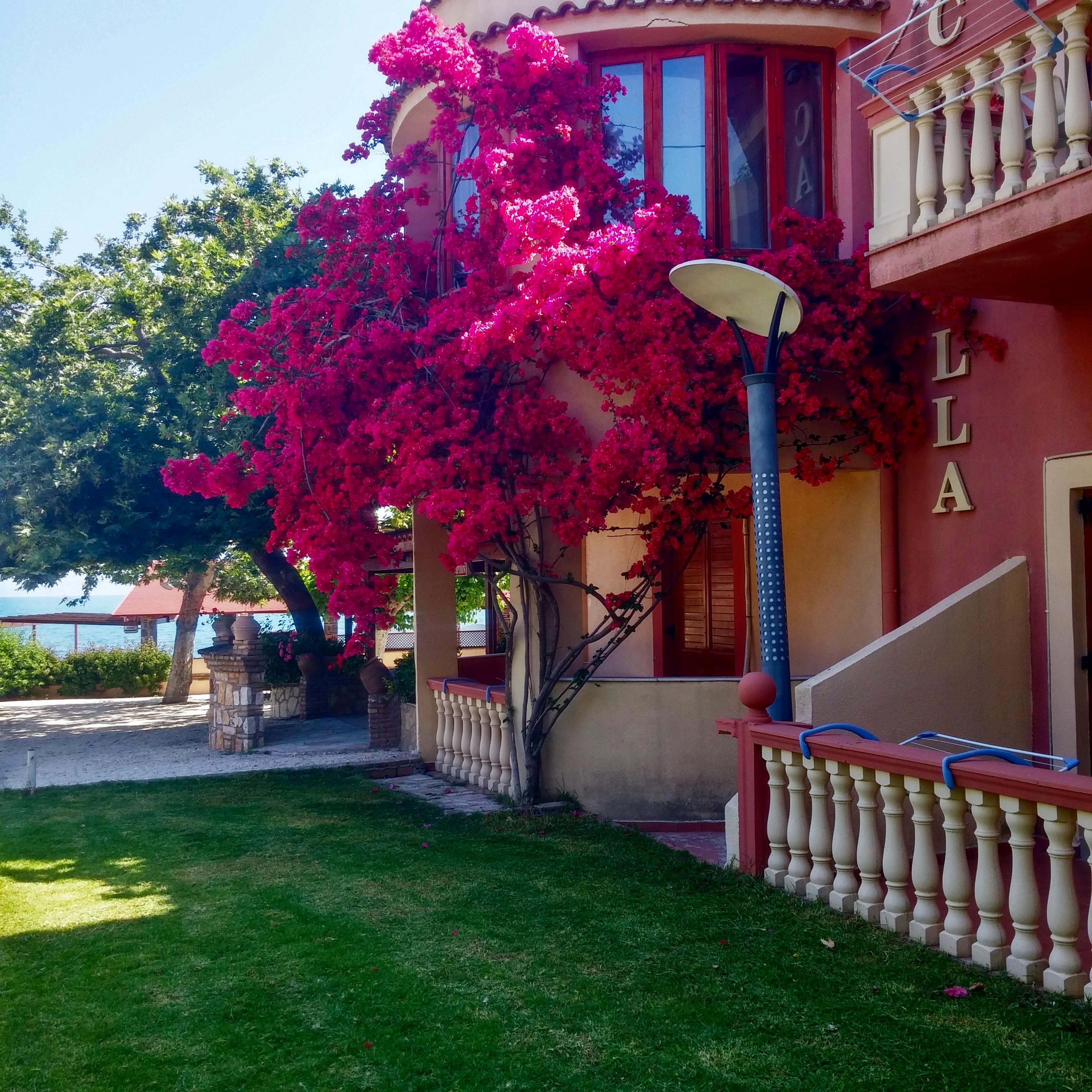 Hotel Castella Beach