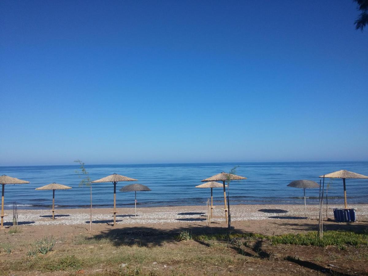 Irida Resort